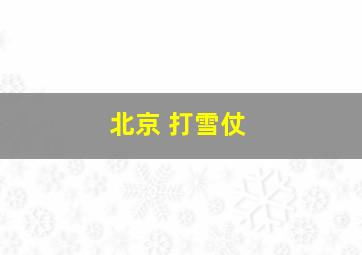 北京 打雪仗